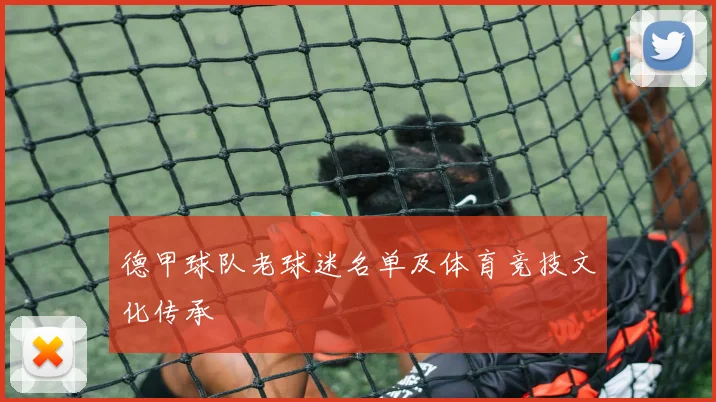 德甲球队老球迷名单及体育竞技文化传承