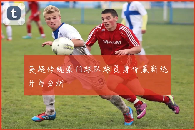 英超传统豪门球队球员身价最新统计与分析