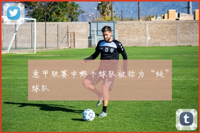 意甲联赛中哪个球队被称为“纯”球队