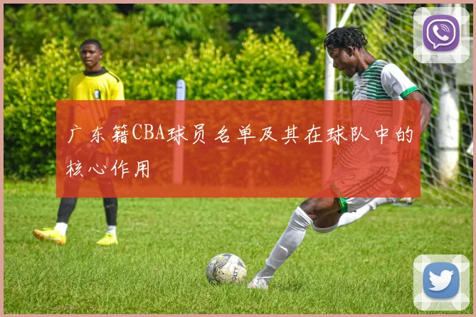 广东籍CBA球员名单及其在球队中的核心作用